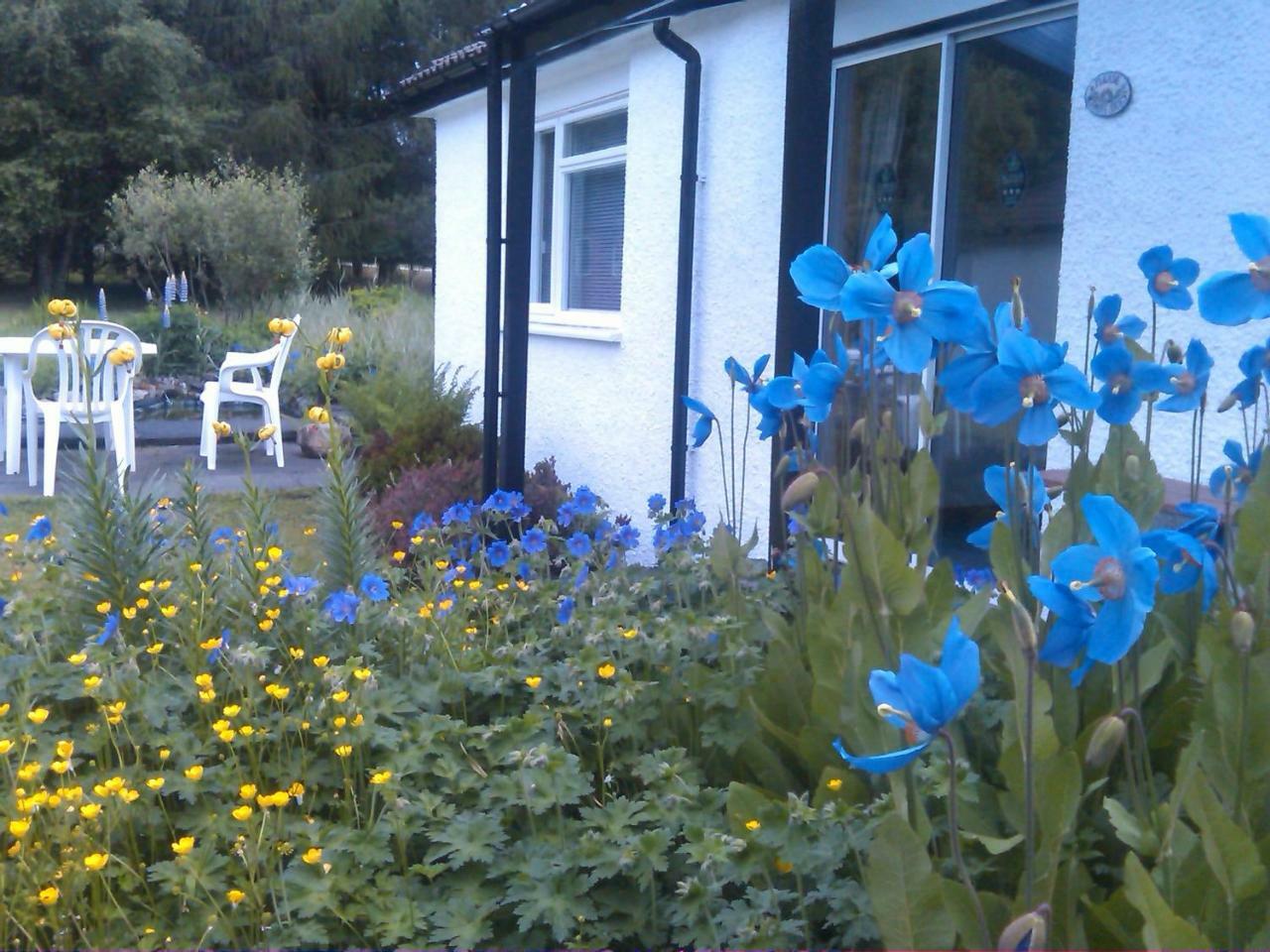 Dalkell Cottages Tyndrum Luaran gambar